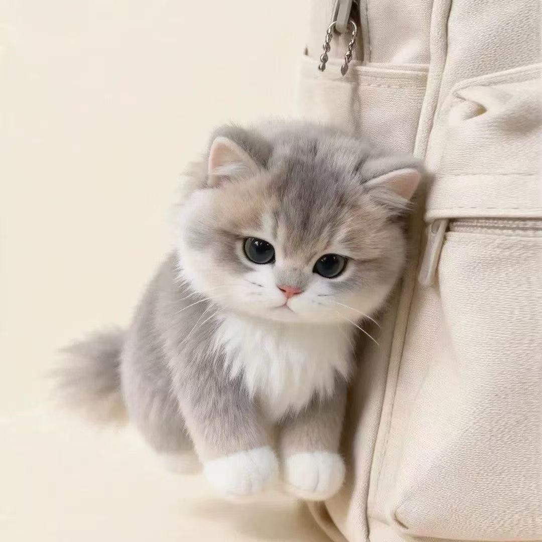 Ultra-Cute Realistic Kitten Plush Keychain